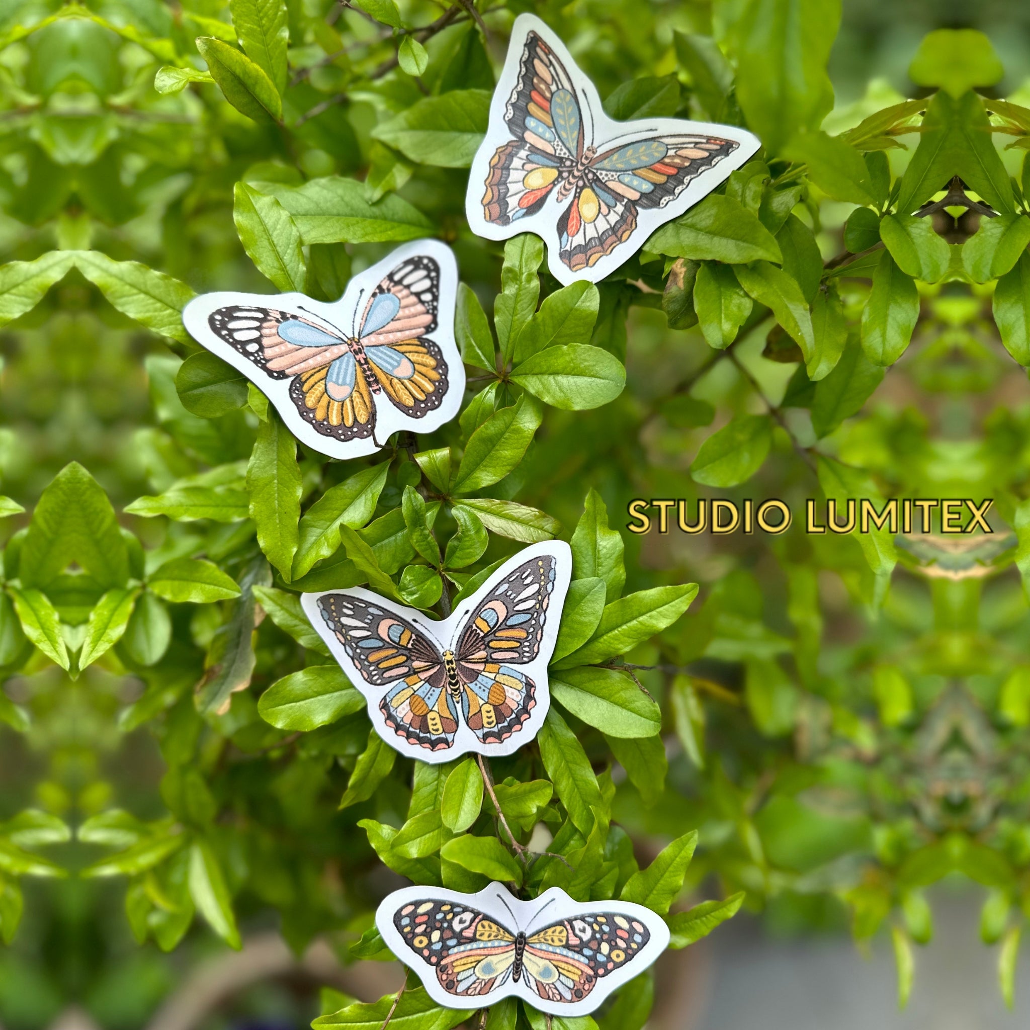 Butterfly Fridge Magnets - Pack of 4